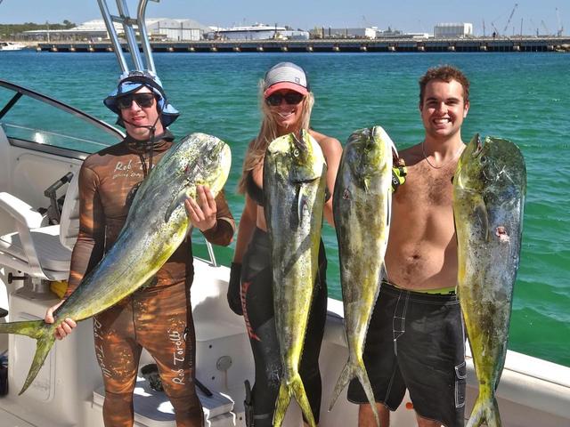 19/1/14 fads 19/1/14 fads